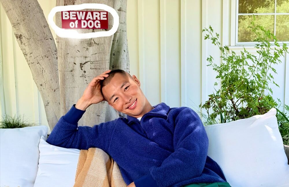 Smartfon APPLE iPhone 17 narzędzie Oczyść edycja zdjęć usuwanie elementów