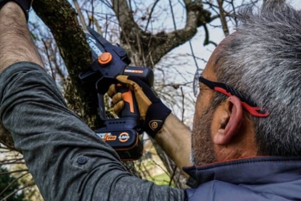 Piła akumulatorowa WORX Nitro WG325E ogród osoba przycina gałąź na drzewie praca w ogrodzie dbanie o zieleń zadbany ogród