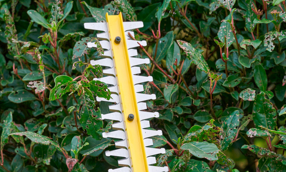 Nożyce do żywopłotu STANLEY SFMCHT655M1-QW 550mm 20V akumulatorowe żywopłot ogród zbliżenie na ostrze ostrze oparte o żywopłot podwójne ostrze o długości 55 cm ze stali hartowanej precyzyjne cięcie gałęzi do 19 mm grubości objęcie większej powierzchni w jednym ruchu falista konstrukcja ostrza redukuje wibracje