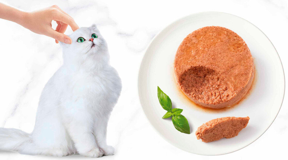 Karma dla kota GOURMET Gold Mus z łososiem 85 g jasne tło biały kot osoba głaszcze kota obok talerz z karmą składniki analityczne dodatki dietetyczne