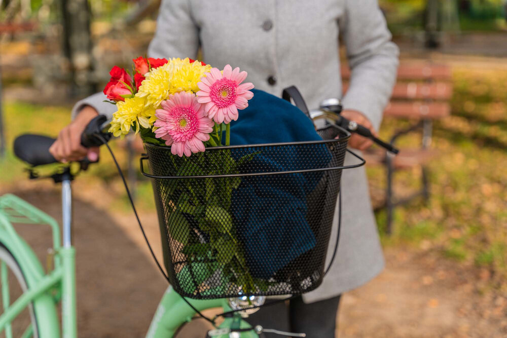 Koszyk na rower VÖGEL VKS-105 wymiary pojemność udźwig