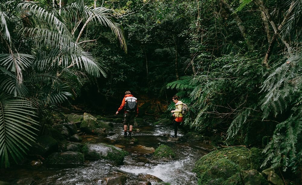  Dwóch turystów z plecakami wędrujących przez gęstą tropikalną dżunglę przy górskim strumieniu otoczonym palmami i paprociami - Odporność na piasek, kurz i wilgotność do 95% RH 