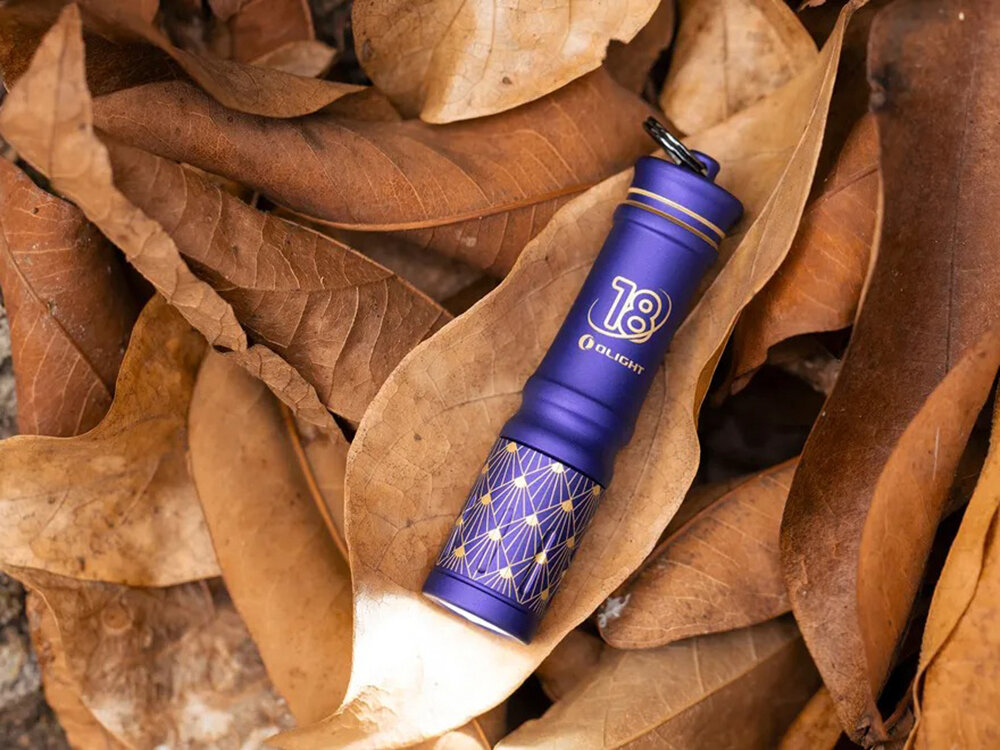 Latarka OLIGHT I3E EOS OL692340 Niebieski, miniaturowa, jasność, 90 lumenów, codzienne, Fioletowa latarka Olight I1R 2 PRO z grawerem 18, leży wśród suchych, brązowych liści.
