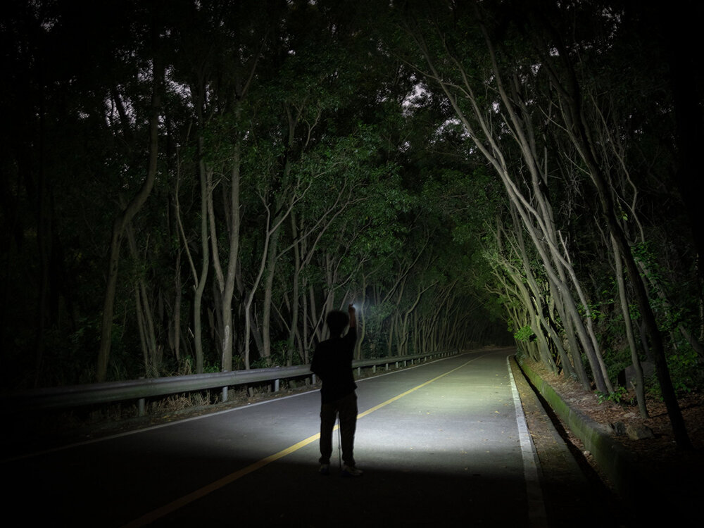 Latarka OLIGHT Oclip OL005483 Pomarańczowy, źrodło, światło, moc, oświetlanie, Mocne światło Oclip oświetla leśną drogę