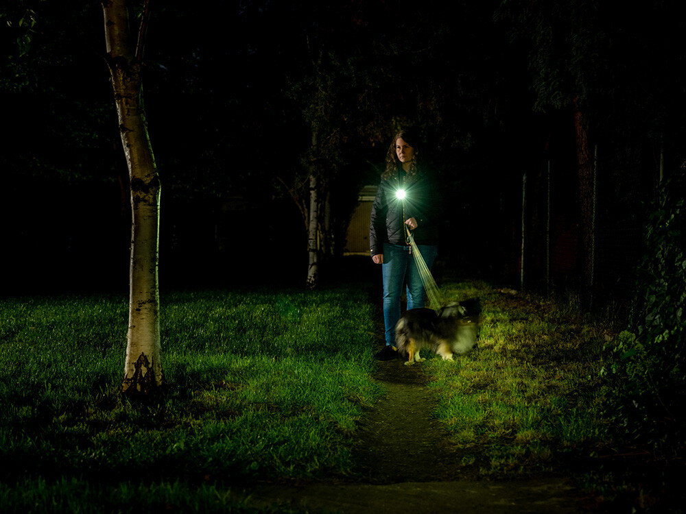 Latarka OLIGHT OL693118, EDC, kieszeń, ergonomia, uniwersalna, Spacer z psem nocą, latarka Oclip Pro mocno oświetla ścieżkę, postać, smycz, trawa.