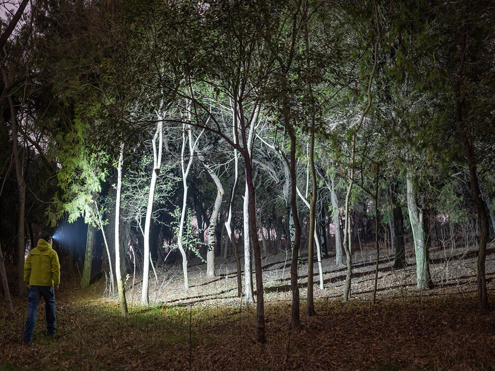 Latarka OLIGHT OL691985, profesjonalista, światło, oświetlanie, moc, Latarka rozjaśnia gęsty las podczas nocnego marszu