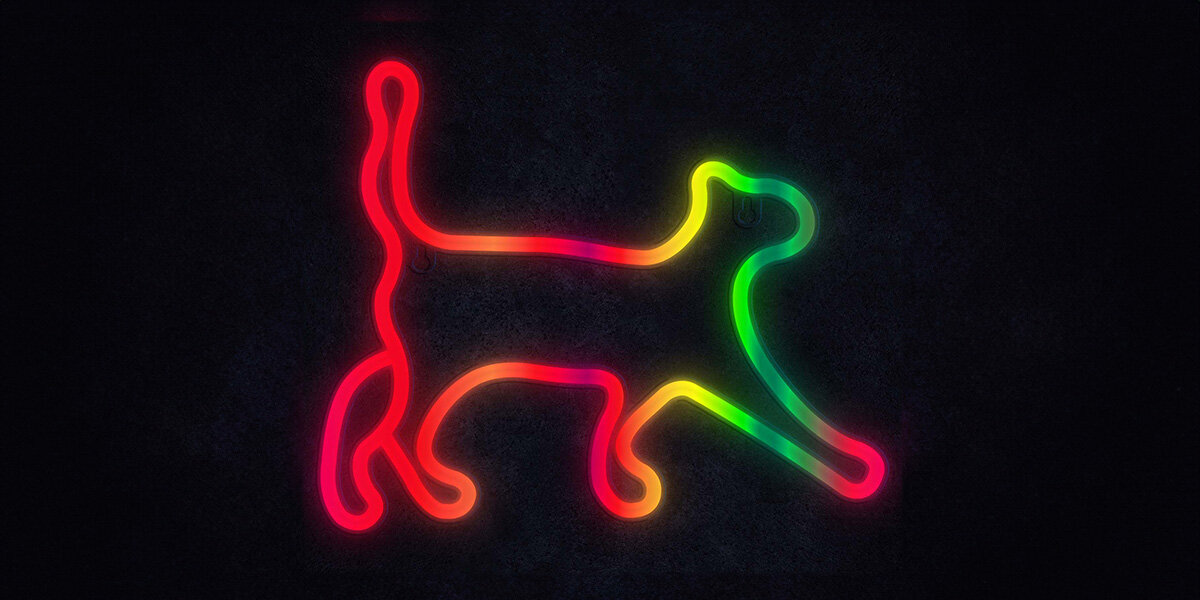 Neon LED MANTA Kot bardzo niską ilość energii oszczędność ochronę środowiska Solidna konstrukcja trwałość