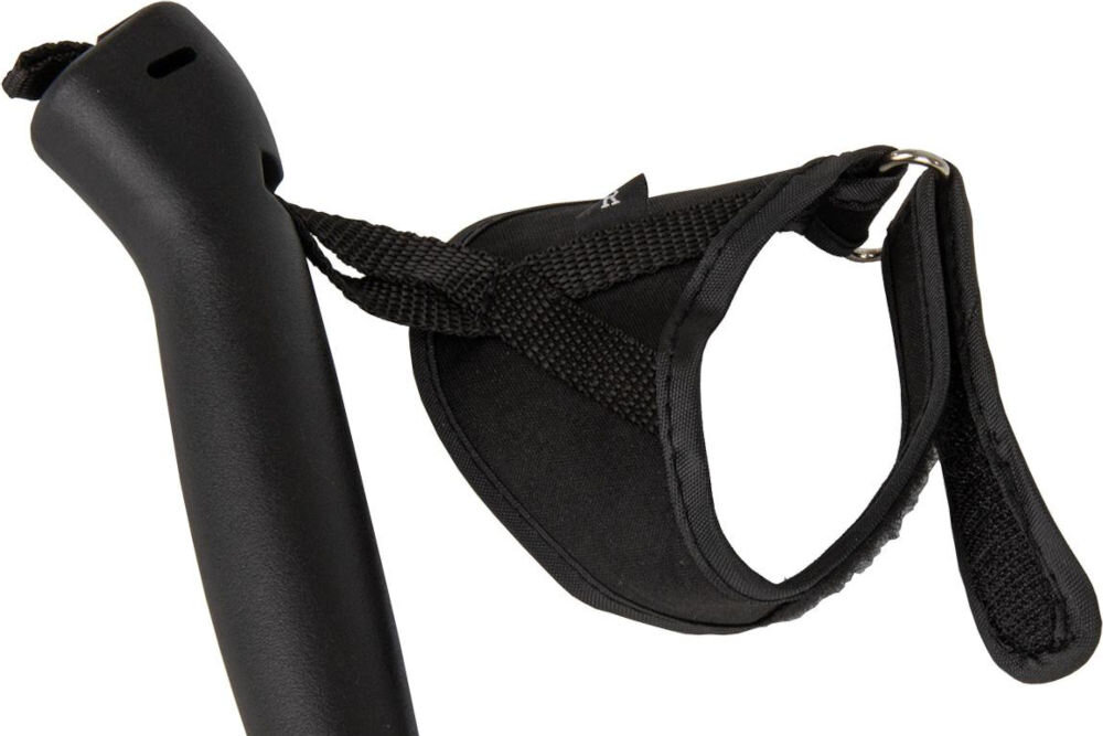 Kijki do nordic walking BEST SPORTING 512903 (84 - 140 cm)