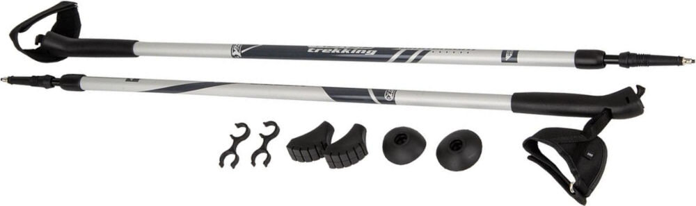 Kijki do nordic walking BEST SPORTING 512903 (84 - 140 cm)