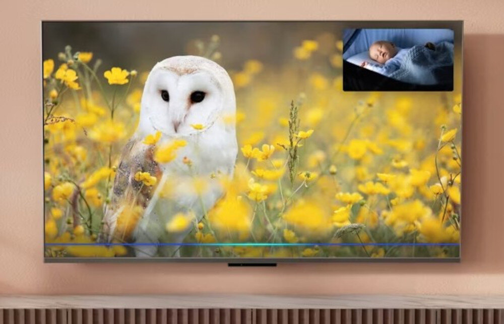 PANASONIC TV55W95BEG integracja Alexa podgląd kamer w domu, telewizor zawieszony na ścianie z wyświetlanymi dwoma obrazami