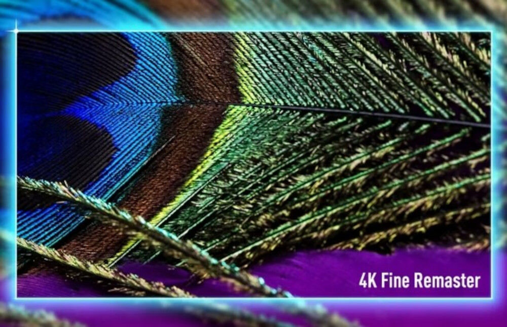 PANASONIC TV55W95BEG Dual Super Resolution wyraźny obraz FHD, pawie pióro