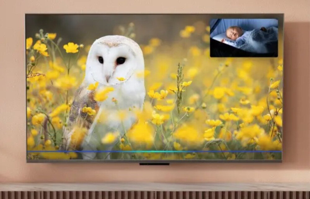 Telewizor PANASONIC TV-77Z95BEG podgląd kamer polecenia głosowe, telewizor zawieszony na ścianie w pomieszczeniu