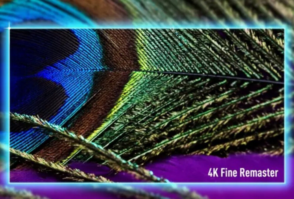 Telewizor PANASONIC TV-77Z95BEG 4K Fine Remaster rozdzielczość obraz AI, pióro pawia w rozdzielczości 4k