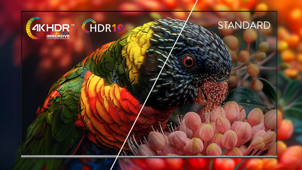 Telewizor JVC LT-50VG7500 obraz UHD HDR10 kontrast detale kolory filmy sport, egzotyczny ptak posiłkujący się nektarem kwiatów