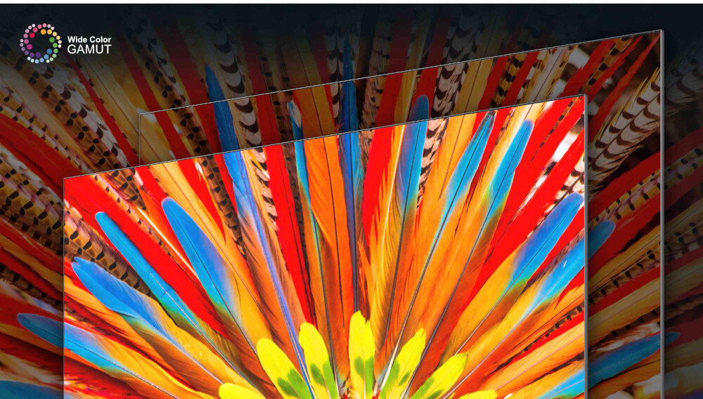 Telewizor TCL P755 - szeroka gamma kolorów