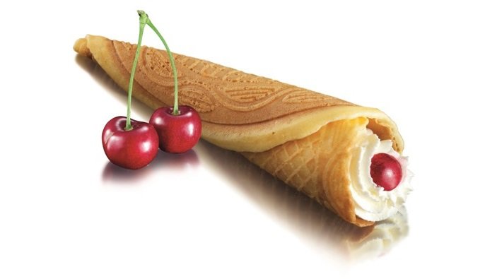 GOFROWNICA BIAŁA BLUPUNKT KONSTRUKCJA