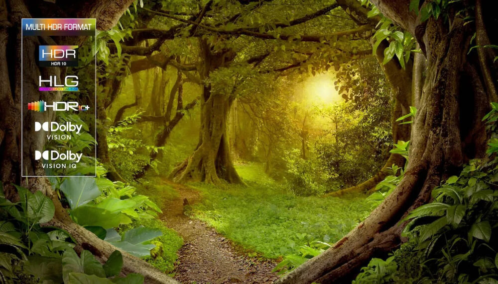 Telewizor TCL 65C75B - Wsparcie standardów HDR