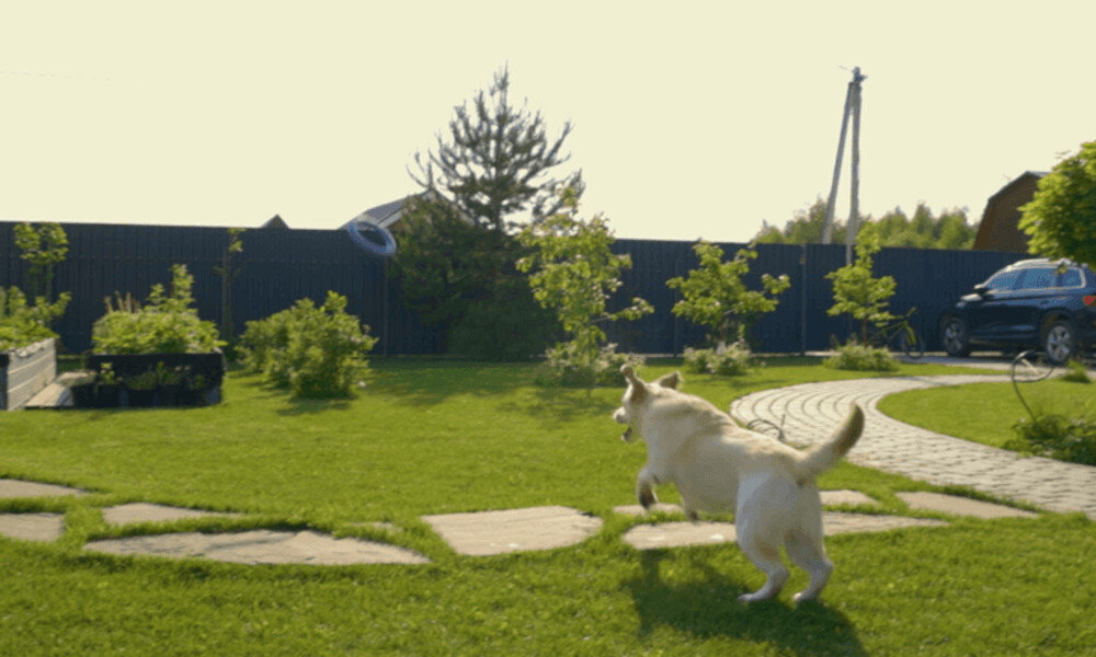 Kamera IP IMOU Cruiser SE+ 4MP jakość obraz rozdzielczość tryb nocny kompresja