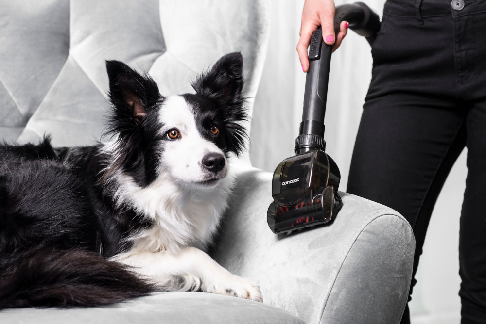 Odkurzacz CONCEPT Furious Animal VP5151 mala turboszczotka skuteczny filtr HEPA