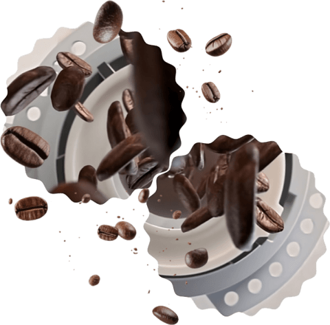 Ziarna 2 D7Ix Ziarna 2 D7Ix