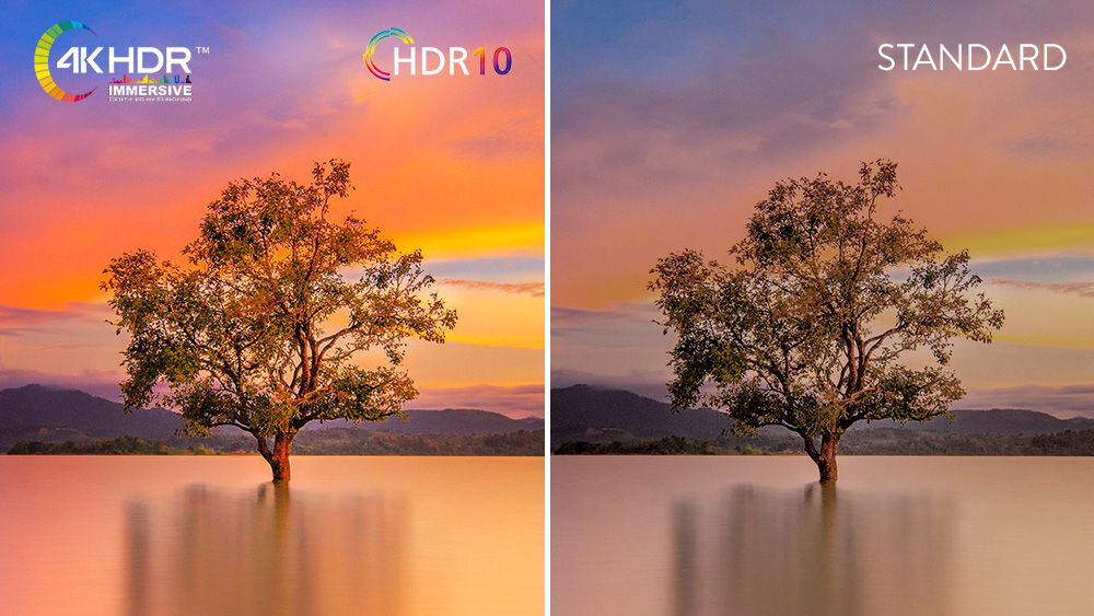 Telewizor JVC LT-65VGQ750P Ultra HD HDR10 detale kontrast, drzewo stojące w wodzie, obraz pokazany w hdr 10 oraz w standardzie