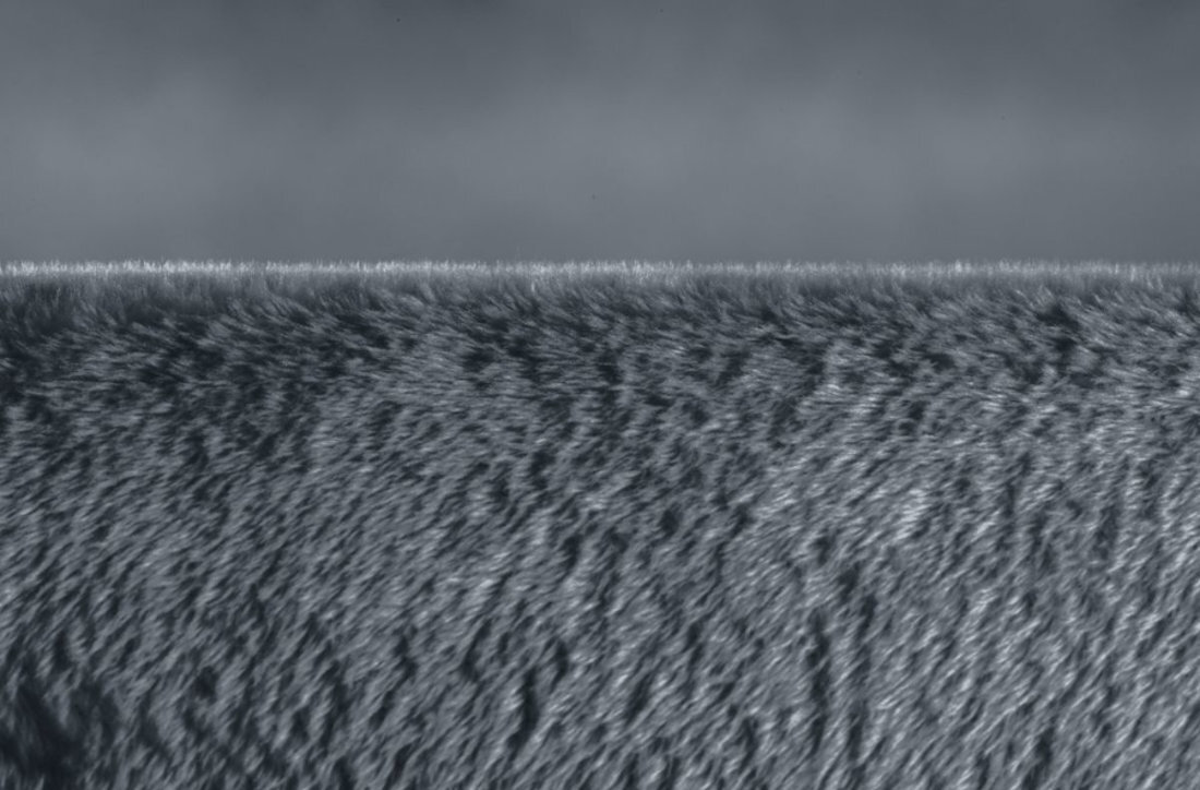 Poduszka elektryczna BEURER HK 125 Cosy  Miękka mikrofibra Wysokiej jakości mikrofibra Miękka powierzchnia dobre samopoczucie podczas odpoczynku