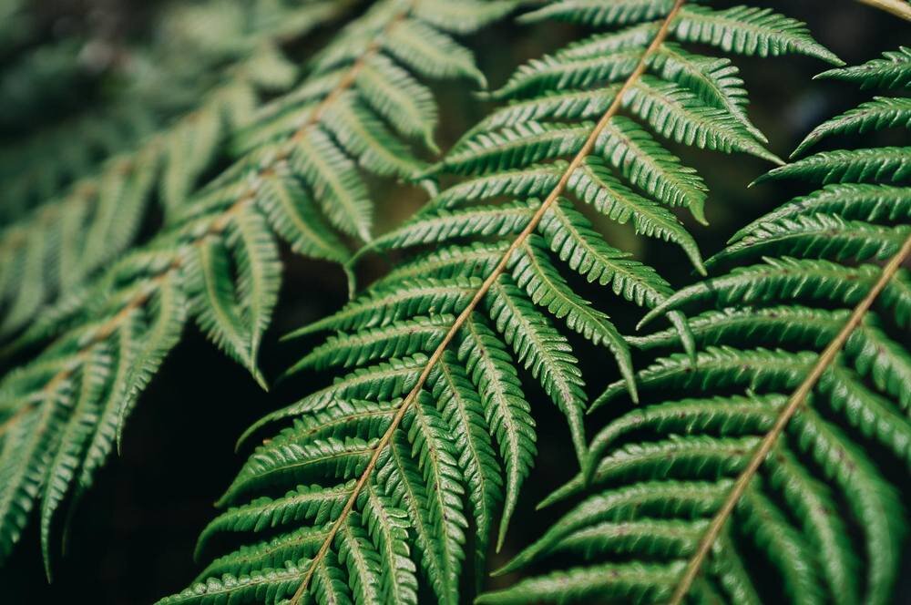 Obiektyw SIGMA C 10-18mm f-2.8 DC DN funkcje