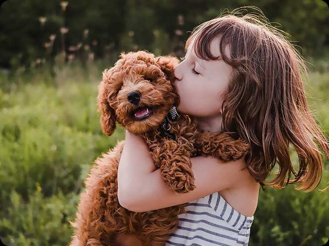 2025 s85f samsung vision ai 4k ai upscaling pc-0000519 2025 s85f samsung vision ai 4k ai upscaling pc-0000519