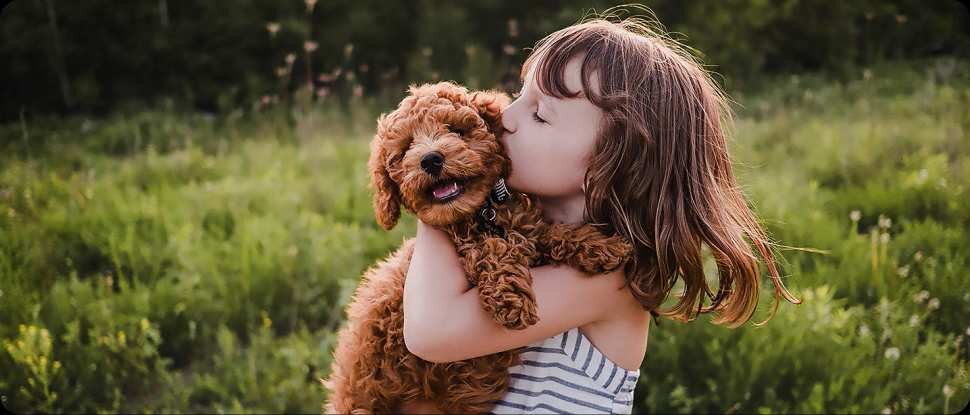 2025 samsung vision ai 4k ai upscaling 2 pc 2025 samsung vision ai 4k ai upscaling 2 pc