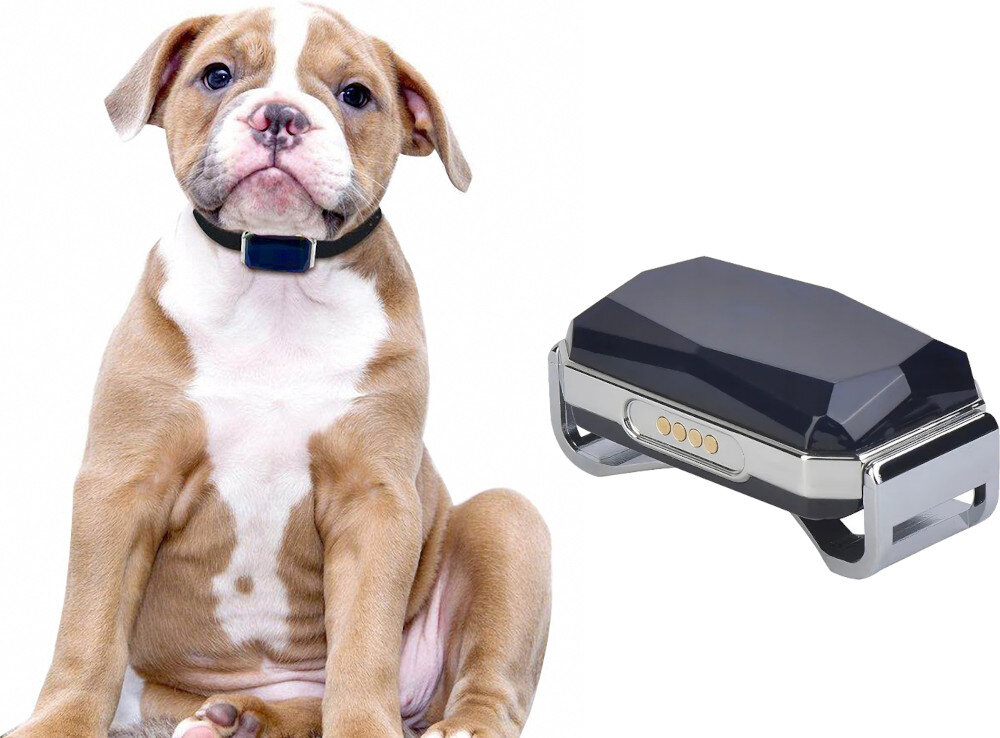 Lokalizator MKING GPS MK12P bateria zasilanie czas działania przeznaczenie zastosowanie cechy