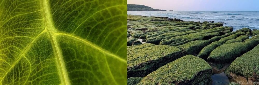 Smartfon HTC U23 PRO ekran bateria aparat procesor ram pamięć pojemność rozdzielczość zdjęcia filmy opis dane cechy blokady system łączność wifi bluetooth obudowa szkło odporność porty muzyka transfer sieć przekątna matryca waga czujniki oled amoled ips