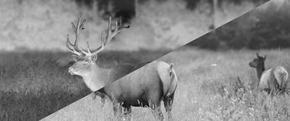 Smartfon DOOGEE S61   ekran bateria aparat procesor ram pamięć pojemność rozdzielczość zdjęcia filmy opis dane cechy blokady system łączność wifi bluetooth obudowa szkło odporność porty muzyka transfer sieć przekątna matryca waga czujniki