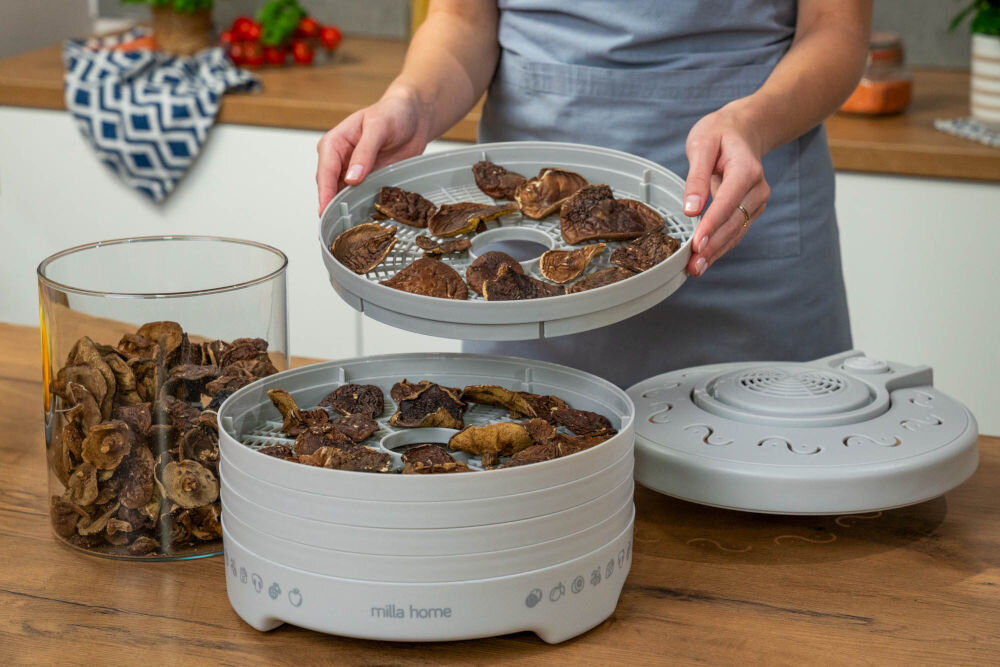 Suszarka do grzybów MILLA HOME FD101E Osoba podnosi jedno z sit suszarki Milla Home FD101E, które jest wypełnione suszącymi się grzybami. Obok stoi duży szklany pojemnik z już ususzonymi grzybami. Suszarka stoi na drewnianym blacie w kuchni.