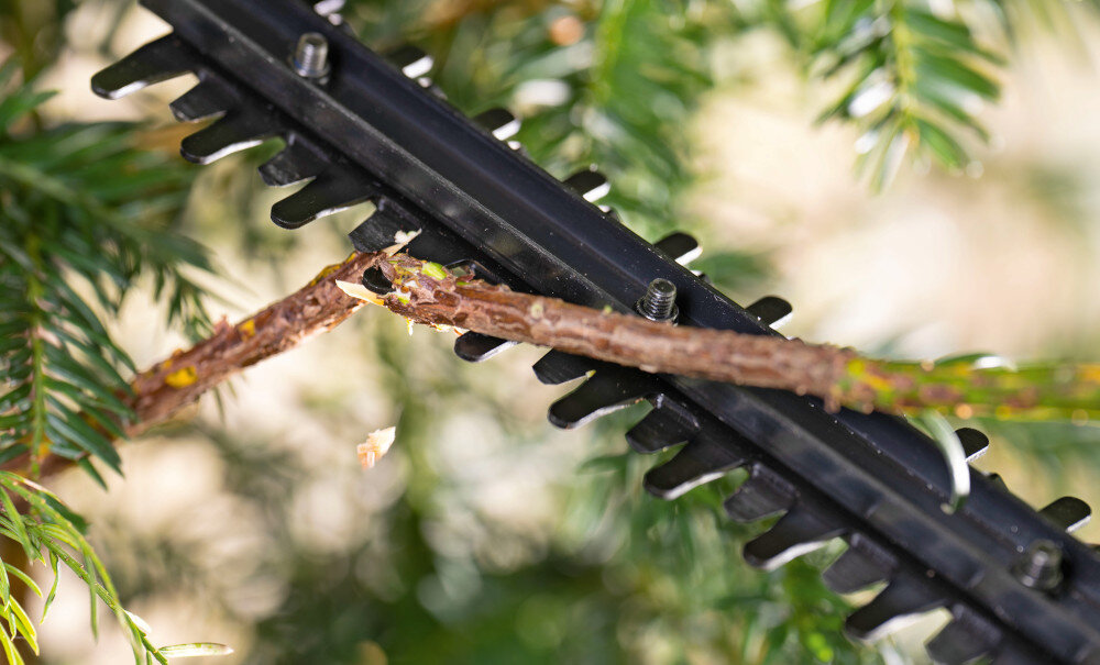 Nożyce do żywopłotu BOSCH EasyHedgeCut 18V-44-11 zbliżenie na ostrza w tle liście listwa tnie grubszą gałązkę opatentowany system BOSCH Anti Blocking zapobiega blokowaniu się noży podczas cięcia gęstych gałęzi cięcie odbywa się płynnie i bez przerw bezpieczeństwo pracy