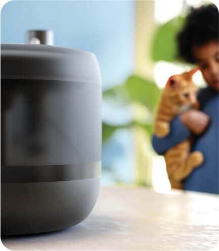 automatyczny wyłącznik pompy