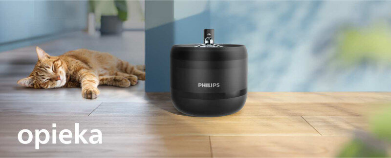 fontanna zachęca zwierzę do picia większych ilości wody