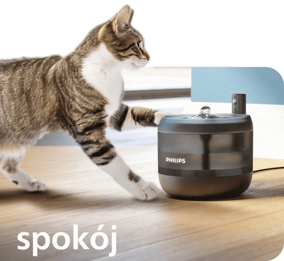 gumowe podstawki zapewniają stabilność