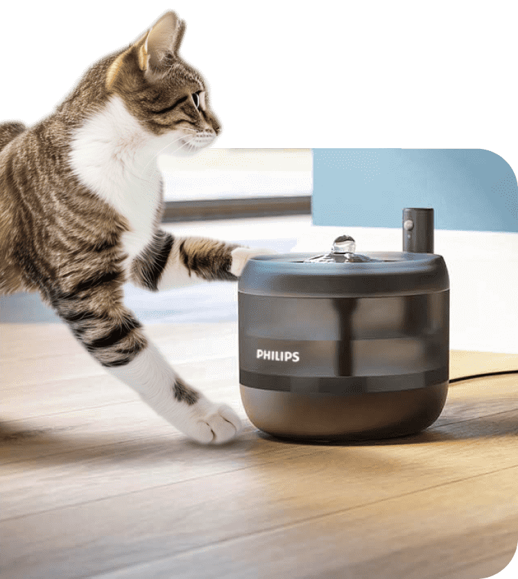 gumowe podstawki zapewniają stabilność