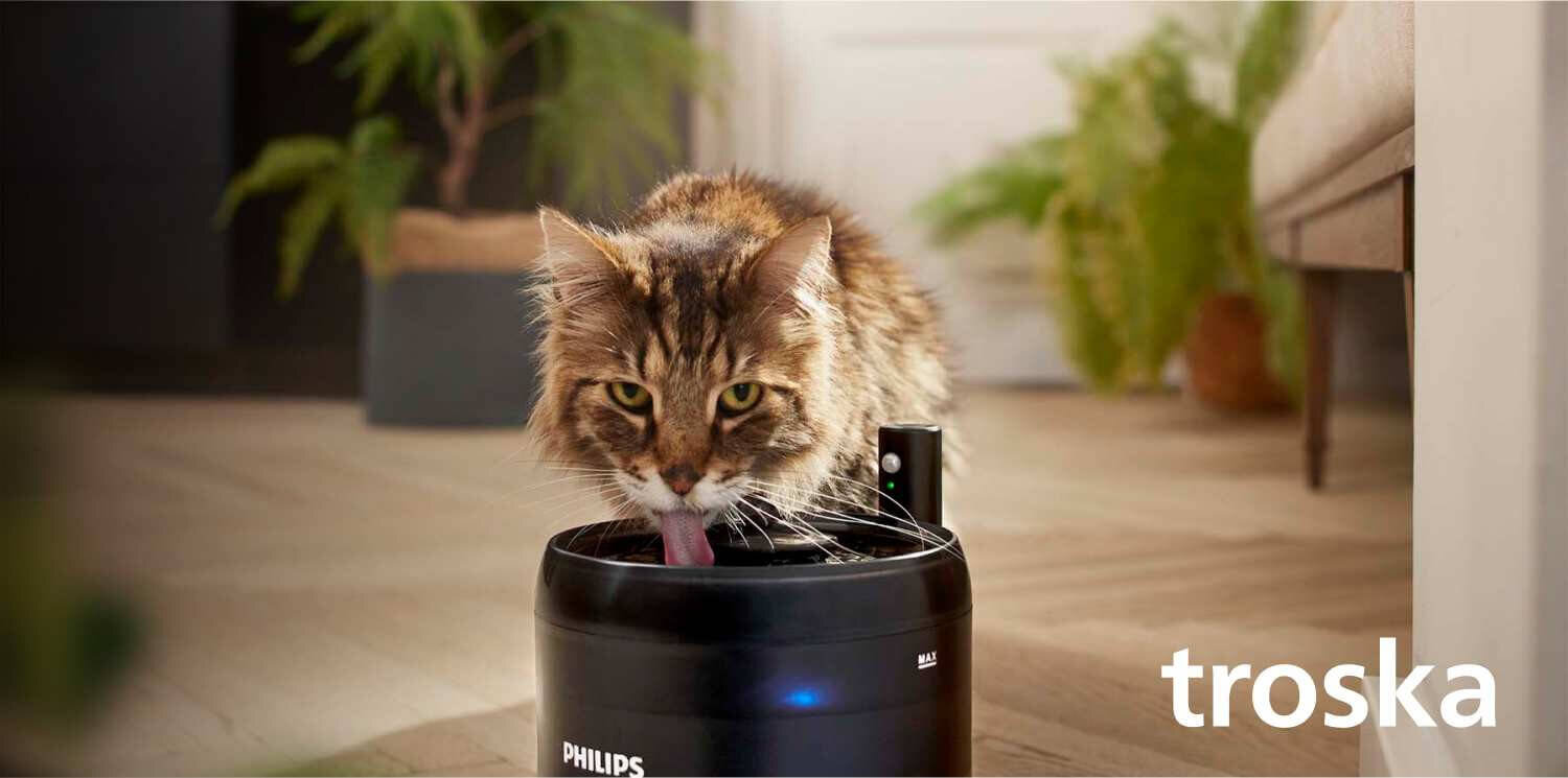 świeża woda idealna do picia