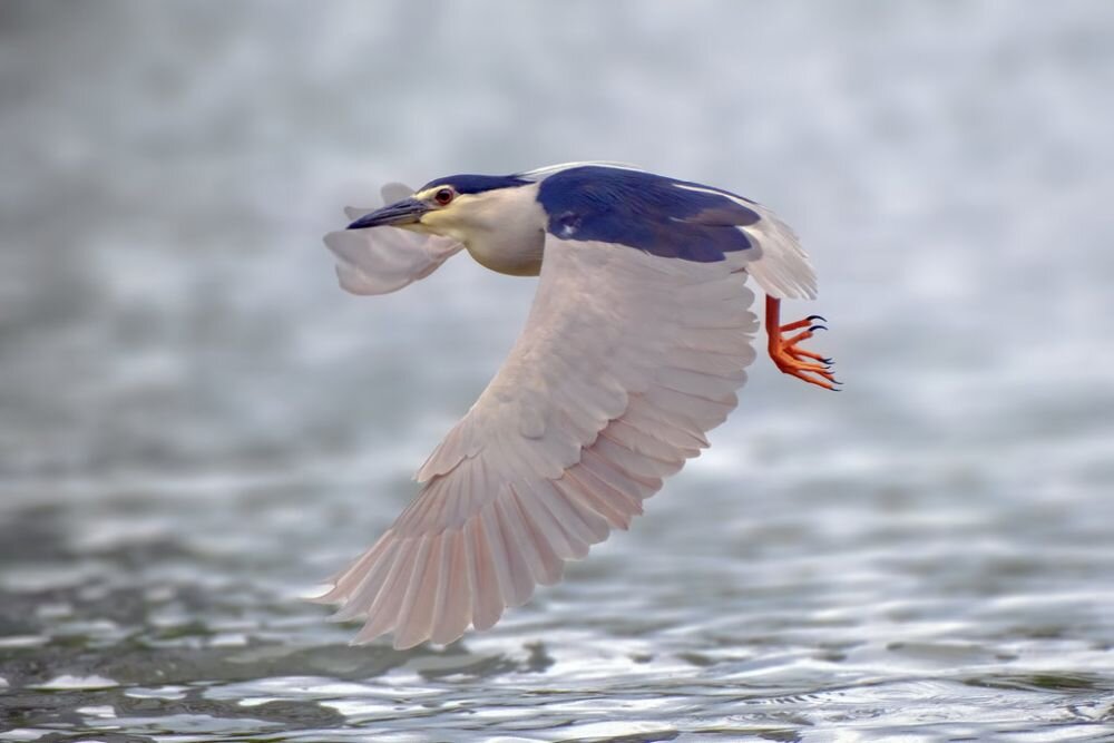 FUJIFILM X-T30 III autofokus śledzenie ruchu zdjęcia sportowe dynamiczne sceny