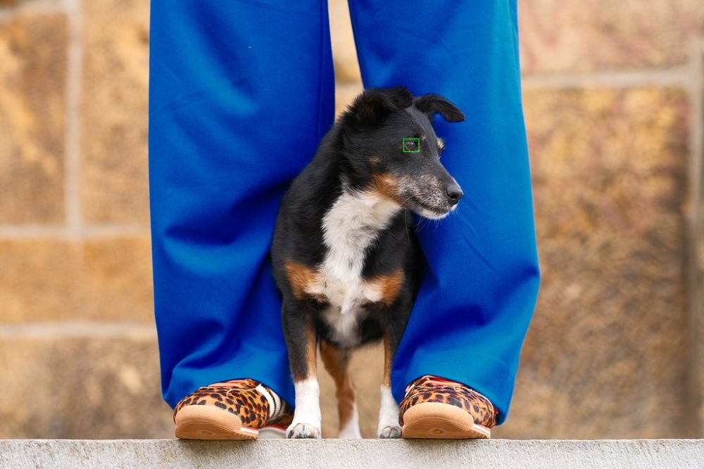 FUJIFILM X-T30 III tryb Auto inteligentne ustawienia śledzenie obiektu fotografia codzienna