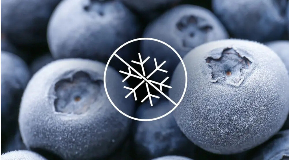 LODÓWKA HAIER HTR3619ENPW