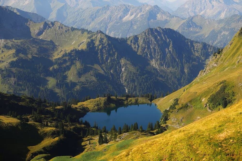 Aparat CANON EOS R6 Mark III tryb Open Gate elastyczne kadrowanie wideo