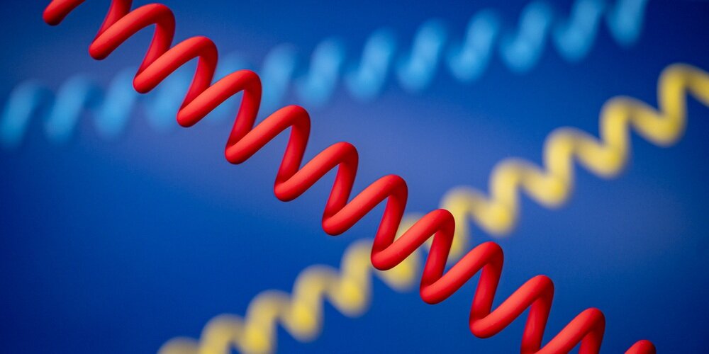 Na pierwszym planie czerwony, spiralny kabel Newell USB-C - USB-C 100 W. W tle rozmyte spiralne kable żółty i niebieski.