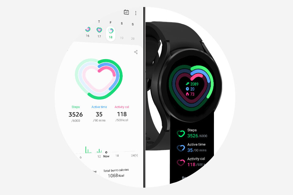 phpCcFrOL Wyniki treningow fresh