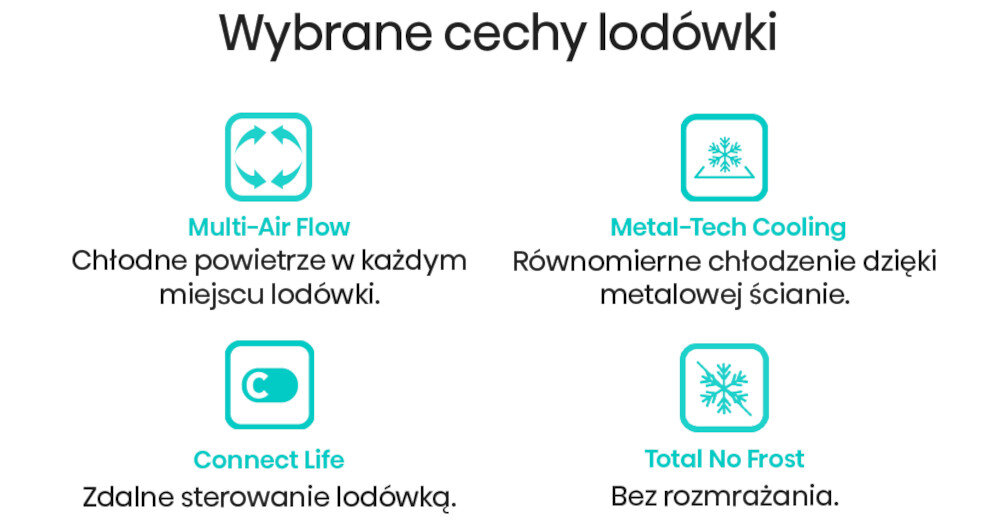 LODÓWKA HISENSE RF815N4SESE MD cechy