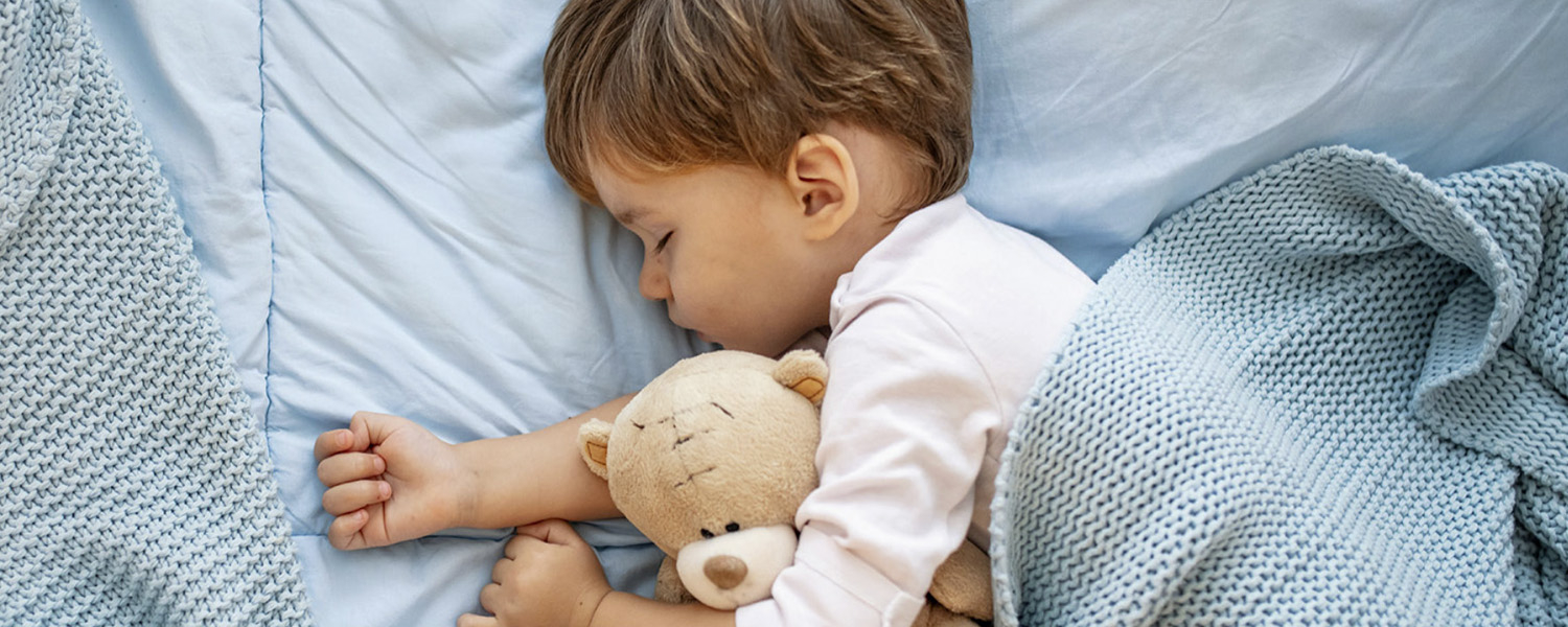 Odkurzacz HOOVER HE532ALG 011 szczotka podłoga parkiet miękkość 