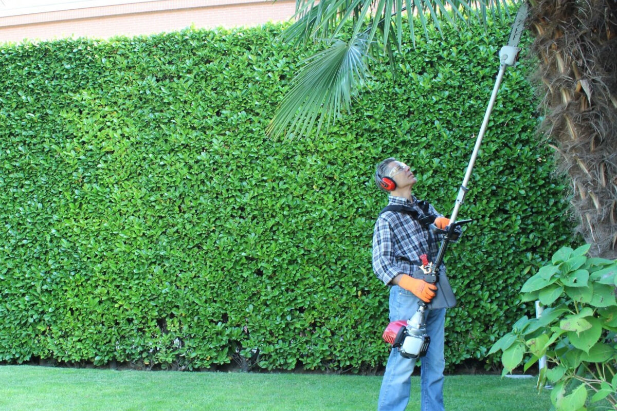 Kosa spalinowa MA.RI.NA MT 350 H Honda GX35 wydajosc