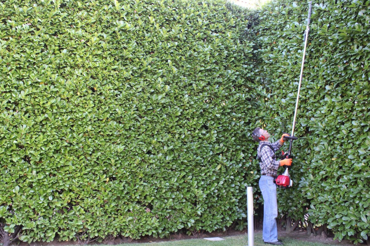 Kosa spalinowa MA.RI.NA MT 350 H Honda GX35 silnik