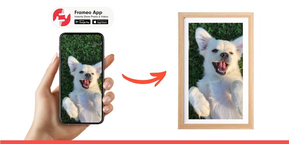 Ramka cyfrowa DENVER Frameo PFF-1505LW Jasnobrązowy prezentacja ramki ze zdjęciem na białym tle obok ręka trzymająca telefon ikona FRAMEO oprogramowanie FRAMEO kompatybilność z iOS i Android zdalne dodawanie zdjęć radość rodzina Wi-Fi bezprzewodowo